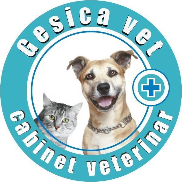 Gesica Vet - Cabinet veterinar