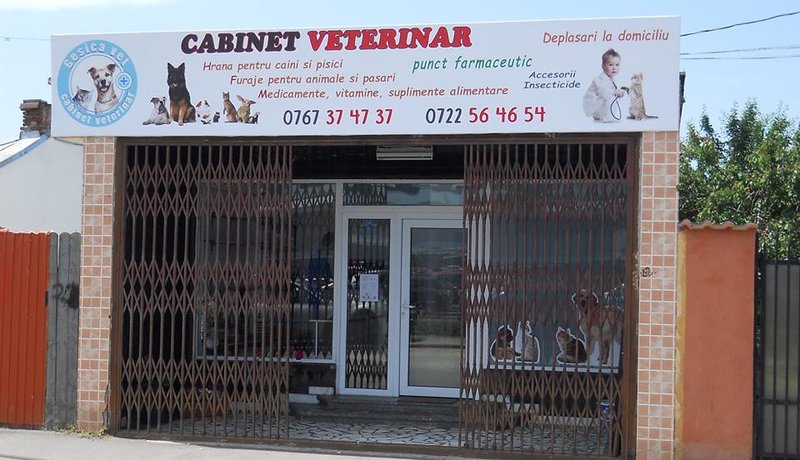 Gesica Vet - Cabinet veterinar