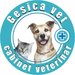 Gesica Vet - Cabinet veterinar